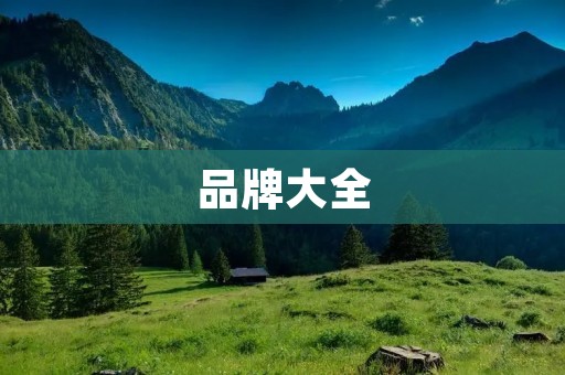 品牌大全:全面了解品牌的世界 品牌大全:全面了解品牌的世界