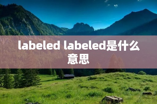 labeled labeled是什么意思