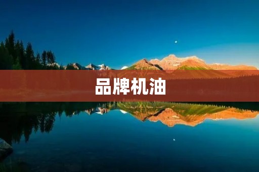 品牌机油：为你的爱车提供最好的保护