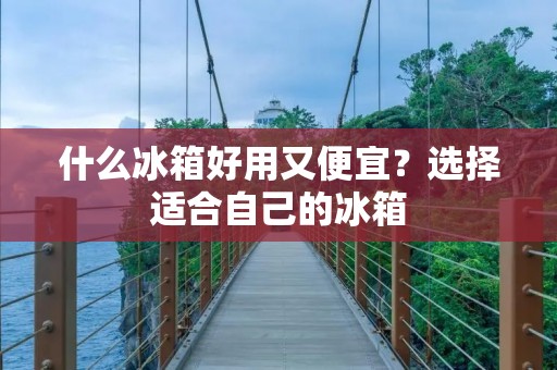 什么冰箱好用又便宜?选择适合自己的冰箱 什么冰箱好用又便宜?选择适合自己的冰箱