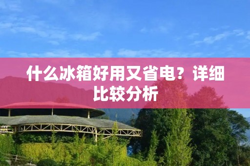 什么冰箱好用又省电?详细比较分析 什么冰箱好用又省电?详细比较分析