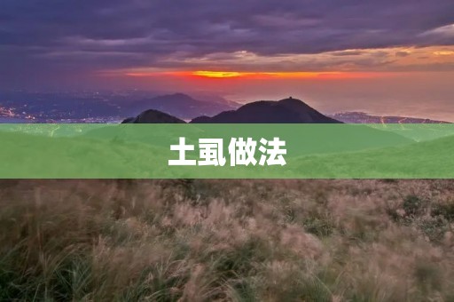 土虱做法：传统美味的制作方法