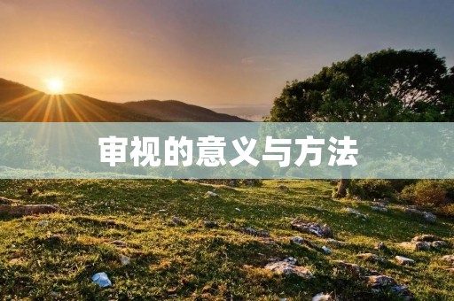 审视的意义与方法