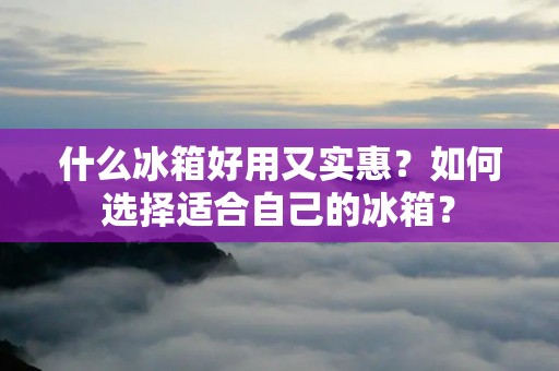 什么冰箱好用又实惠?如何选择适合自己的冰箱? 什么冰箱好用又实惠?如何选择适合自己的冰箱?