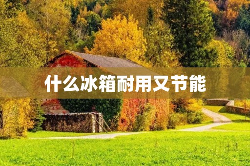 什么冰箱耐用又节能 什么冰箱耐用又节能