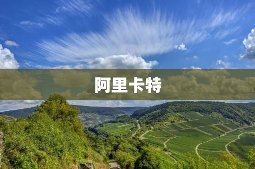 阿里卡特:开创数字化通信新纪元 阿里卡特:开创数字化通信新纪元