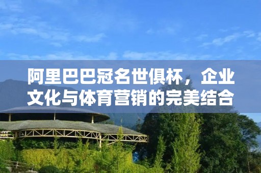 阿里巴巴冠名世俱杯,企业文化与体育营销的完美结合 阿里巴巴冠名世俱杯,企业文化与体育营销的完美结合