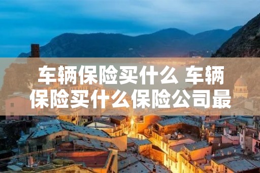 车辆保险买什么 车辆保险买什么保险公司最好