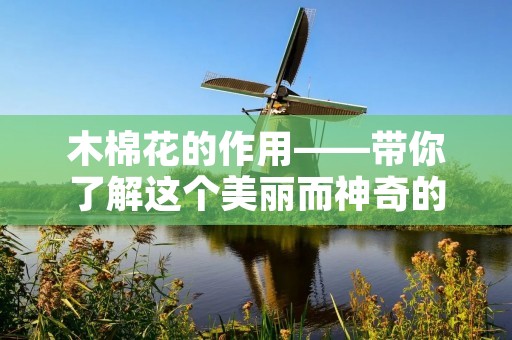 木棉花的作用——带你了解这个美丽而神奇的植物