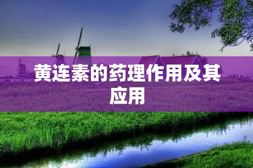 黄连素的药理作用及其应用 黄连素的药理作用及其应用