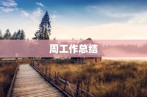 周工作总结：以行动展现实力