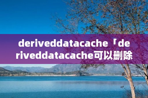 deriveddatacache「deriveddatacache可以删除吗」