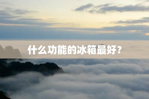 什么功能的冰箱最好？