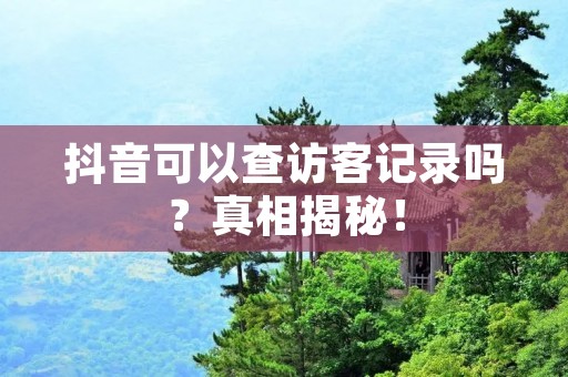 抖音可以查访客记录吗?真相揭秘!