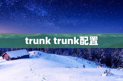 trunk trunk配置