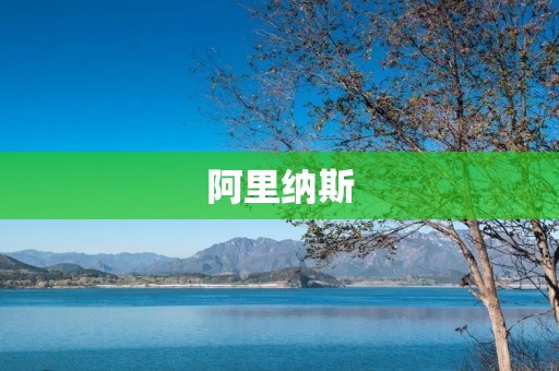 阿里纳斯:开启数字化转型的新时代 阿里纳斯:开启数字化转型的新时代