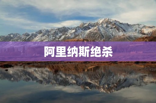 阿里纳斯绝杀:足球史上最经典的瞬间 阿里纳斯绝杀:足球史上最经典的瞬间