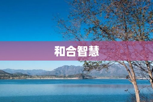 和合智慧：缔造共荣社会的新型思维