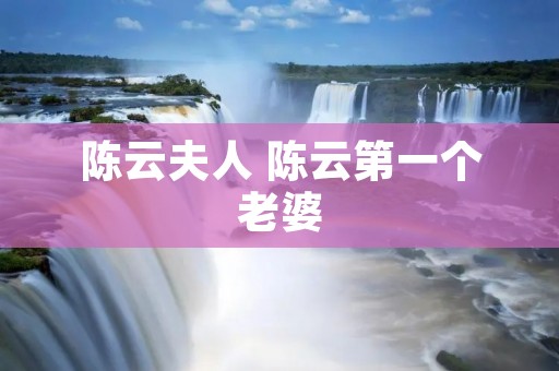 陈云夫人 陈云第一个老婆