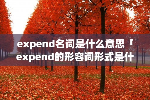 expend名词是什么意思「expend的形容词形式是什么」