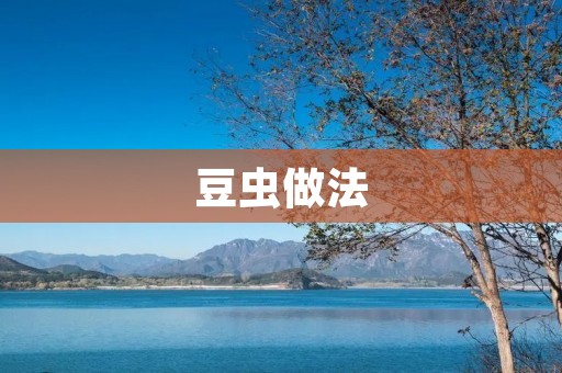 豆虫做法：简单易学的美味佳肴
