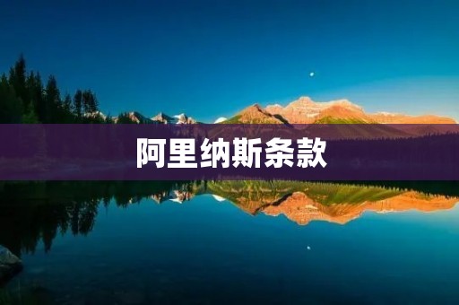 阿里纳斯条款：互联网时代的商业保护