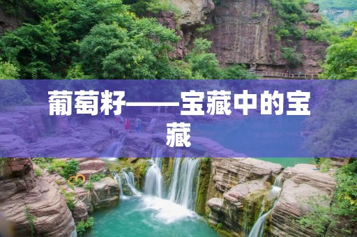 葡萄籽——宝藏中的宝藏 葡萄籽——宝藏中的宝藏