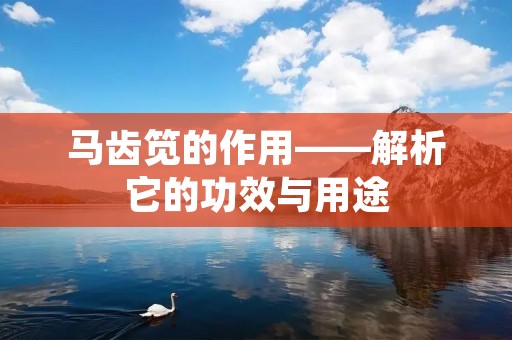 马齿笕的作用——解析它的功效与用途 马齿笕的作用——解析它的功效与用途