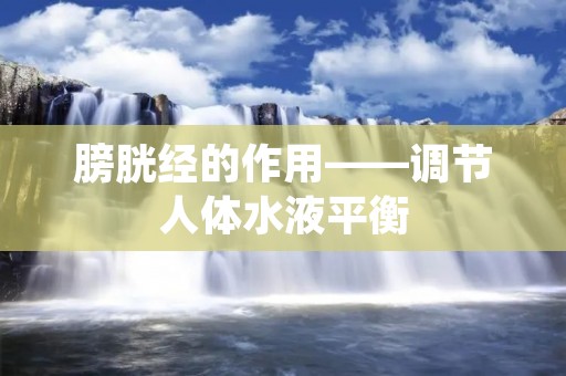 膀胱经的作用——调节人体水液平衡 膀胱经的作用——调节人体水液平衡