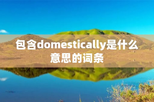 包含domestically是什么意思的词条
