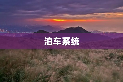 泊车系统:让停车更加便捷 泊车系统:让停车更加便捷