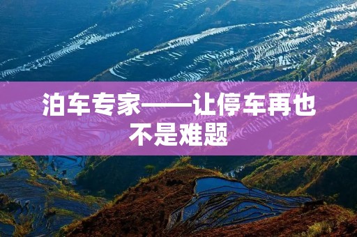 泊车专家——让停车再也不是难题 泊车专家——让停车再也不是难题