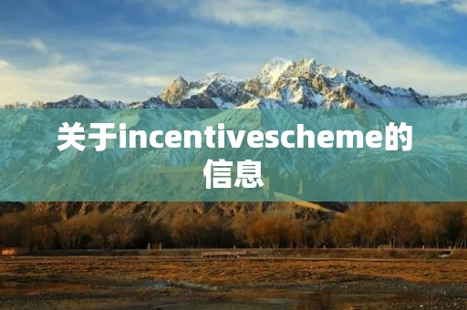 关于incentivescheme的信息