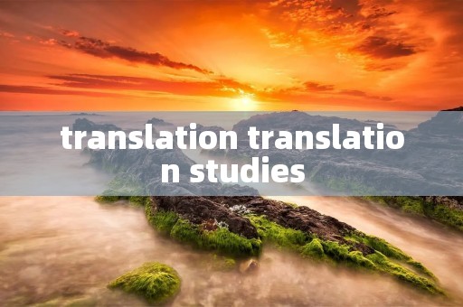 translation translation studies translation translation studies