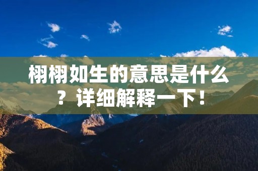 栩栩如生的意思是什么?详细解释一下!
