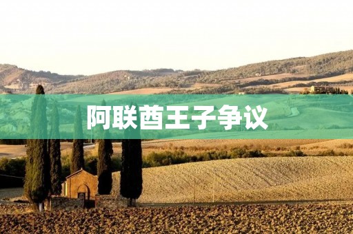 阿联酋王子争议:豪华生活背后的贪腐与权利 阿联酋王子争议:豪华生活背后的贪腐与权利