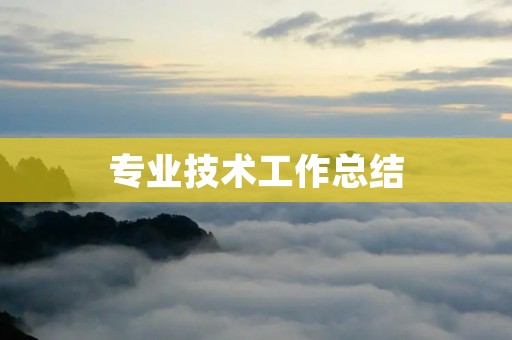 专业技术工作总结