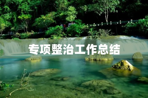 专项整治工作总结