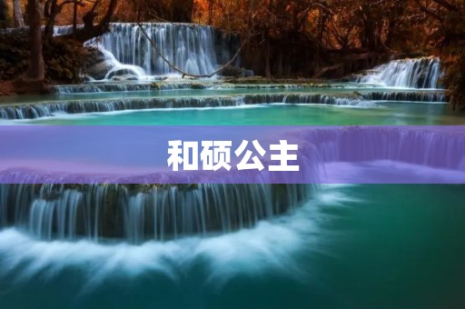 和硕公主：一位历史传奇的女性