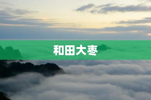 和田大枣：从产地到品质，一场传承与创新的旅程