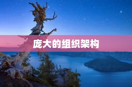 庞大的组织架构:如何管理大型企业
