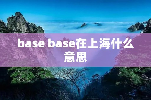 base base在上海什么意思