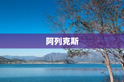 阿列克斯：一款革命性的人工智能语音助手