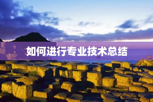 如何进行专业技术总结