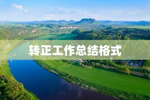 转正工作总结格式