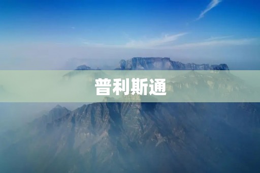 普利斯通：领先的商业房地产投资公司
