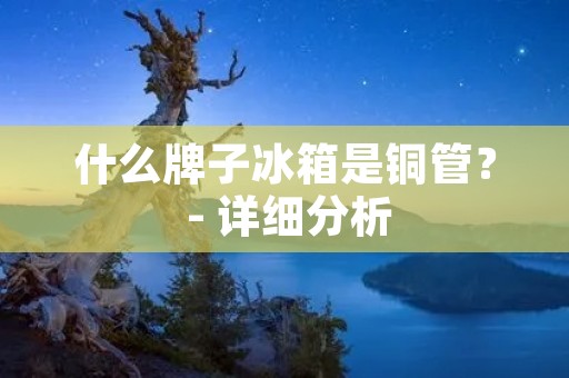 什么牌子冰箱是铜管? - 详细分析 什么牌子冰箱是铜管? - 详细分析