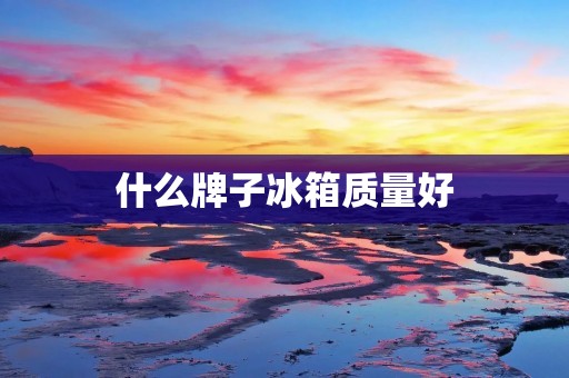 什么牌子冰箱质量好 什么牌子冰箱质量好