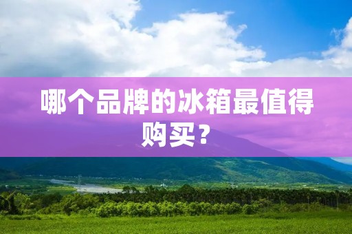 哪个品牌的冰箱最值得购买？