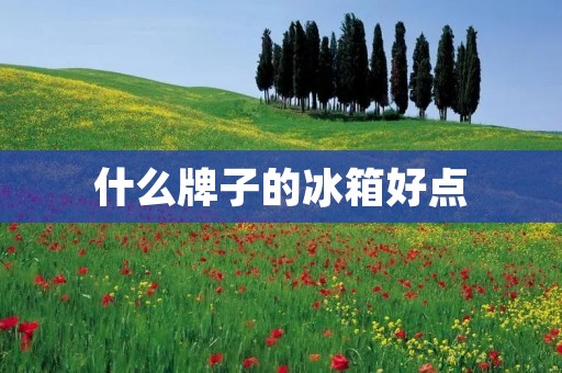 什么牌子的冰箱好点 什么牌子的冰箱好点